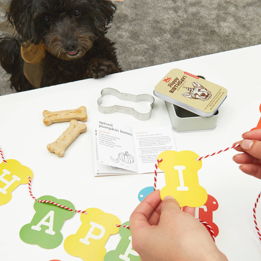 Dog Birthday Kit - SALE!